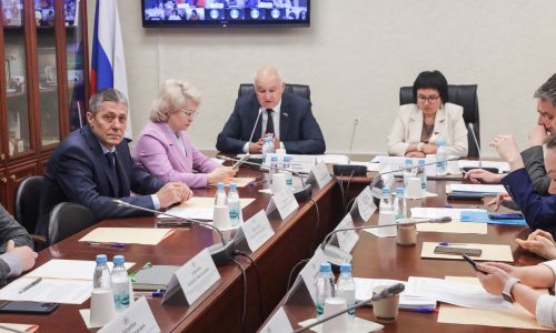 Совместное заседание рабочих групп при Комитете Государственной Думы по делам национальностей 11 июня