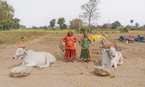 Лекция С.И. Рыжаковой «Rural India: an ethnographic experience»