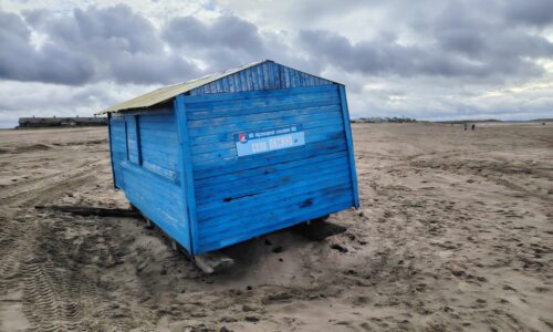 Экспедиция Д.В. Громова в Заполярном районе Ненецкого автономного округа