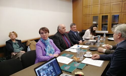 Этничность и межнациональные отношения: Научный совет РАН подвел итоги научной сессии