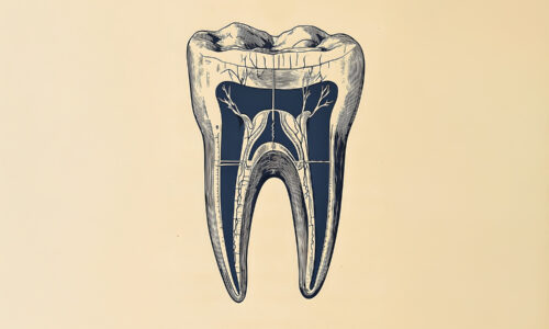 Школа Молодого Антрополога 6 ноября