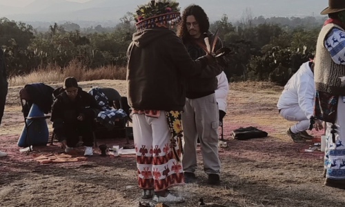 Заседание Американского семинара МАЭ, ИЭА, СПбИИ РАН и РГГУ 15 января