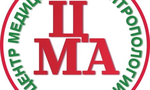 Круглый стол ЦМА ИЭА РАН 21 марта